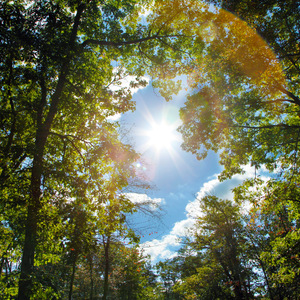 女儿小丹妻子和女儿
